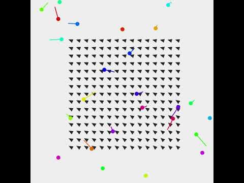 Force field. openframeworks