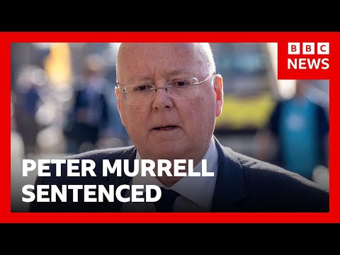 Former SNP chief executive Peter Murrell sentenced for embezzling party funds | BBC News