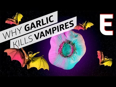 Why Do People Think Garlic Kills Vampires? - Forklore