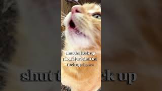 #january2019 #lifeisbutadream #ihavethisthingwithplants #anime