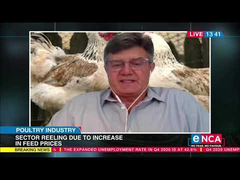 Poultry industry sector reeling due to increase in feed prices