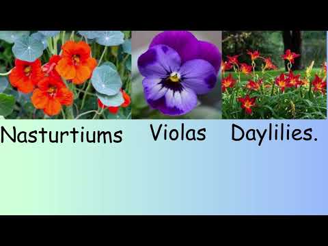 #factsvideo #facts about FLOWERS