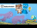 Discovering Manatees New Ocean Explorers Baby Einstein Toddler Song Kids Cartoons