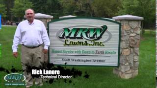 preview picture of video 'FREE Webinar - How To Renovate Your Lawn This Fall'