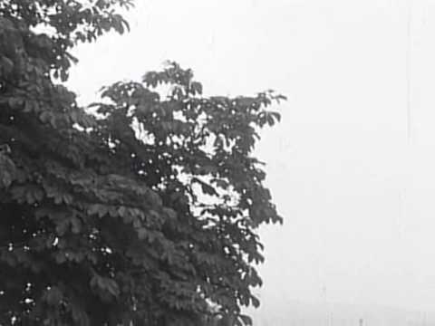 Berta Ambrož - Pišeš mi