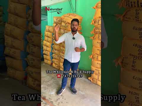 Assam Tea Wholesale Market | Biggest Tea Supplier | #assamtea #teabusiness #teawholesale