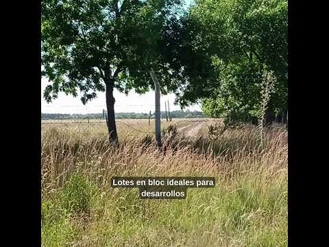 LOTEO POR MANZANAS EN GENERAL RODRIGUEZ #inversion #lotes #generalrodriguez