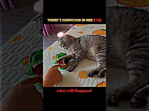 Genius Cat Reflex kinG 🧠#shorts #animals#wildlife#cat#prank#funnycats#viralshorts