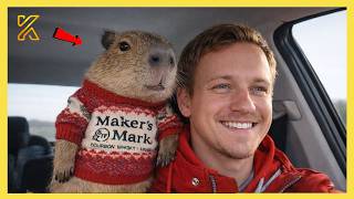 🐾 When Animals and Humans Are Meant to Be Together 😍 NEW Funny Animal Videos 2026!