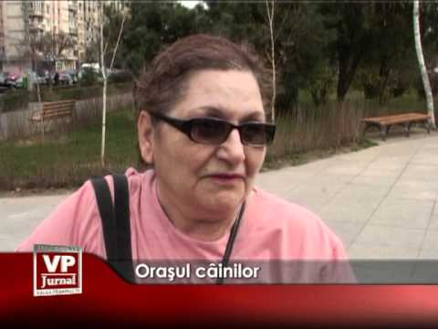 Oraşul câinilor