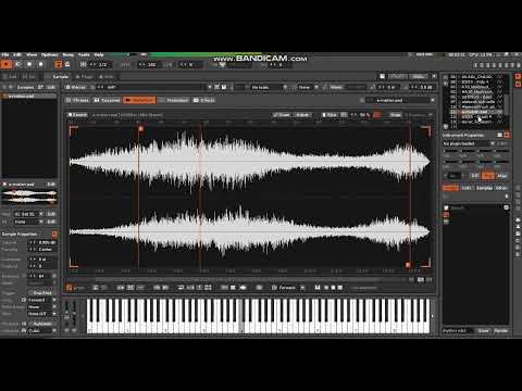 RENOISE JUNGLE - GARETH MONKS- RHYTHM