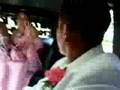 Hmmer Limo