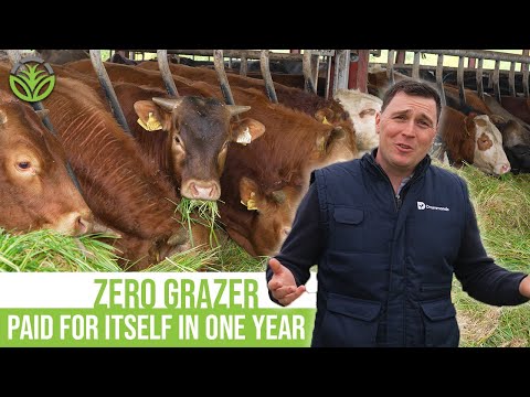 Is ZERO GRAZING the answer for BEEF?