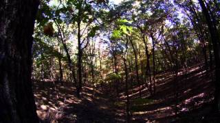 Jesca Hoop The Kingdom ..(Pea Ridge Battlefield Ride)