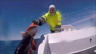 hide and seek with music by tim minchin