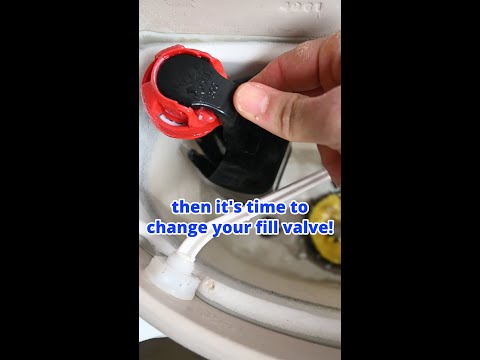Part of a video titled Replace a Bad Toilet Fill Valve FAST & EASY! - YouTube