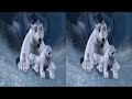 SOS Planet 1080p SBS 3D Stereoscopic Demo