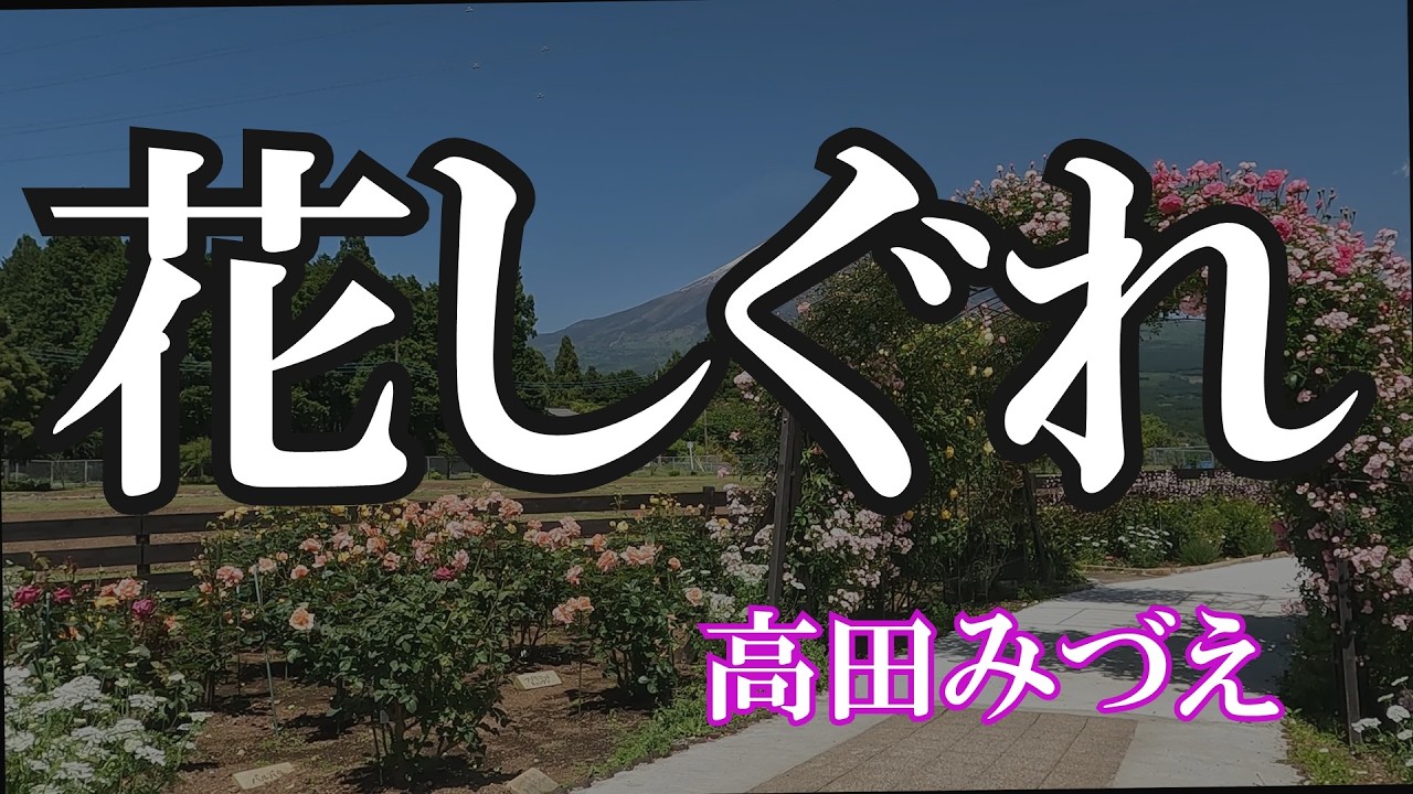花しぐれ / 高田みづえ (歌詞入り)