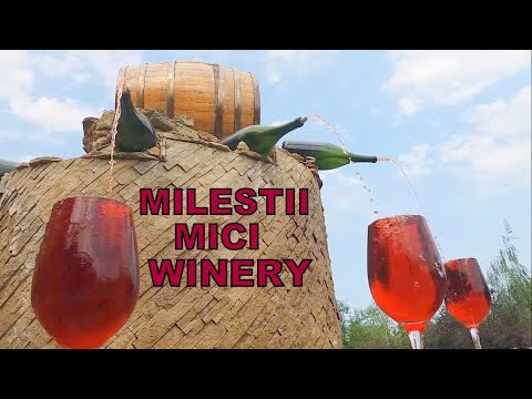 Milestii Mici - the treasure of Moldova!