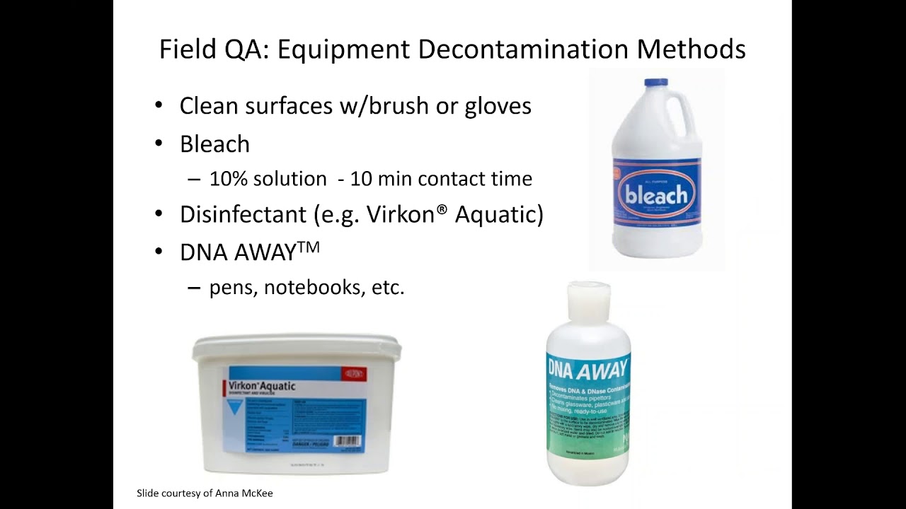 An Introduction to Environmental DNA (eDNA) Monitoring for Amphibians and Reptiles