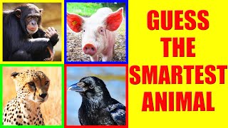 SMARTEST ANIMALS Quiz | Guess the Animal IQ Level