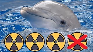 *TRIPLE DE-ATOMIZER w/ QUAD FAIL (6 off, 10 off) + 65 GS, 45 GS in KILL CONFIRMED* (2 man, Core)