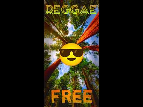reggae salomon🇸🇧 type beats