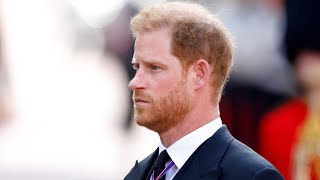 'A number of points' in Prince Harry's memoir 'questioned'