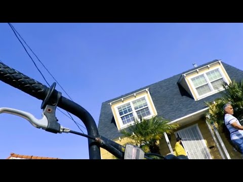 I AM DRE'ES AND THIS IS SWAMP 00