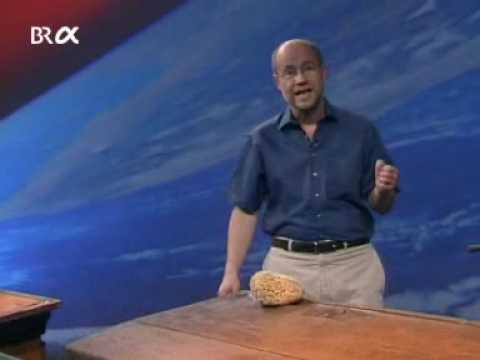 Alpha Centauri - Staffel 3 Episode 101: Woher kommt unser Wasser? Teil 1 von 2