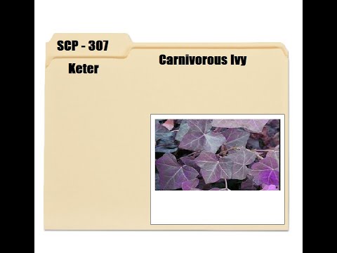 Know Your SCPs                     SCP - 307