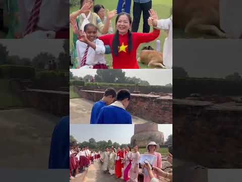 Recapitulando o Retiro do Buda Shiva