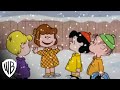 Peanuts Holiday Collection Snowflakes Warner Bros Entertainment