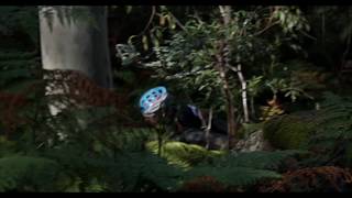 Jetblack Wild Wombat MTB event announced for December 1st