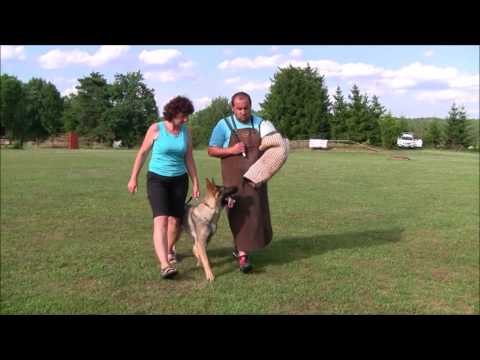 Jagira Aykmar - 7/2017