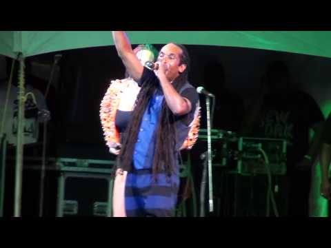 Farmer Nappy and Alison Hinds Part 2