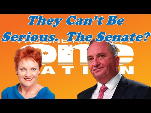 Barnaby & One Nation - Can They Win?