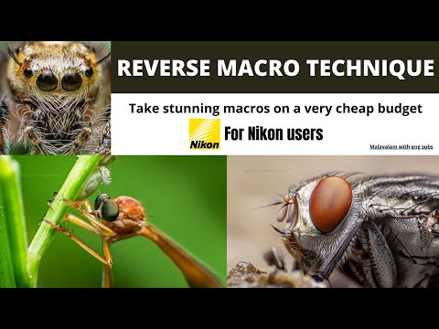 How to take extreme macro photos on cheap budget , for Nikon . Reverse macro photography