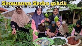 Download lagu KEHIDUPANKU DI DESA | MASAK SAYURAN DAN LALAPAN HASIL PANEN mp3