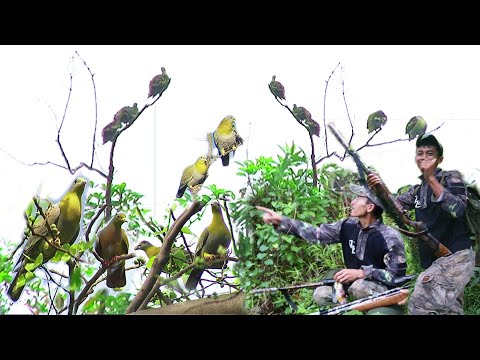 Punai Novyj Trend Smotret Onlajn Na Sajte Trendovi Ru