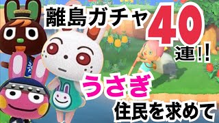 【あつ森】うさぎ住民を求めて離島ガチャ40連!!【あつまれどうぶつの森】