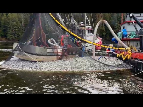 Unbelievable The Most Advance Fishing Vessel