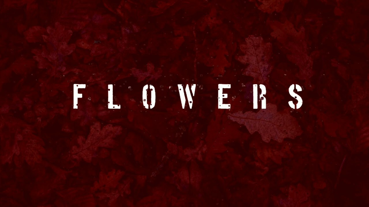 DjSunnyMega - Flowers (Official Music Audio)