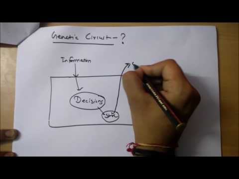 Cancer and genetic Circuits