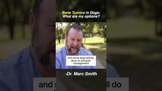 Treatment Options for Bone Cancer in Dogs by Marc Smith, DVM, MS