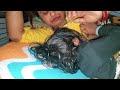 Breastfeeding Baby Feeding