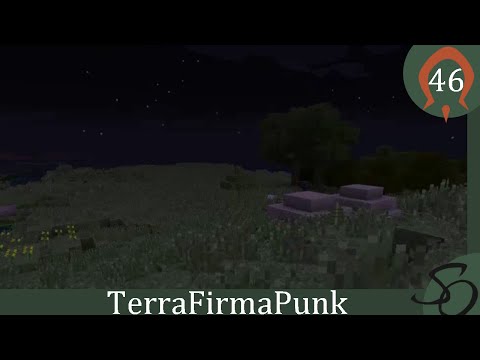 TerraFirmaPunk - E46: Real Bees