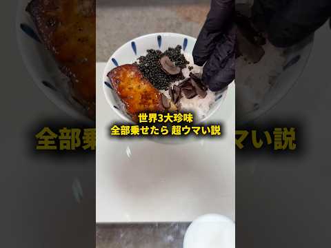 世界三大珍味全部のせたら超ウマい説 #おーがすと #検証