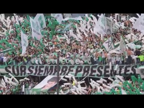 "La droga de mi corazón - Los del Sur" Barra: Los del Sur • Club: Atlético Nacional • País: Colombia