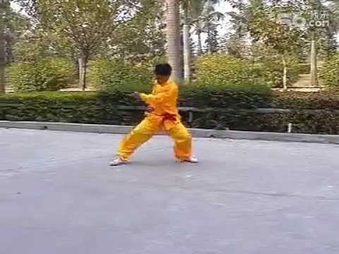 Snake form, Ha Say Fu / Ten Animal Hung Kuen